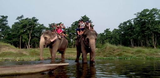 Elephant Safari at Chitwan
