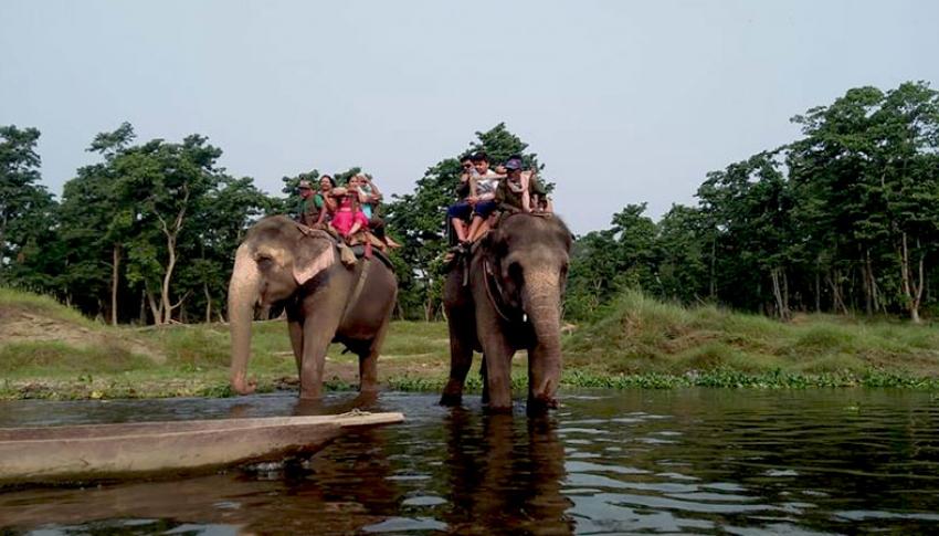 Elephant Safari at Chitwan Elephant Safari at Chitwan